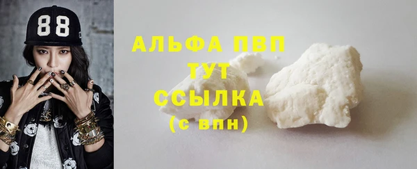 гашик Абаза