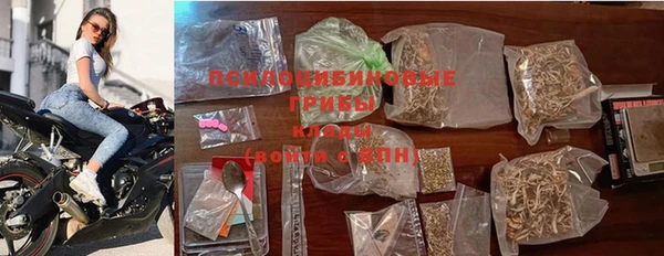 гашик Абаза