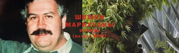 гашик Абаза