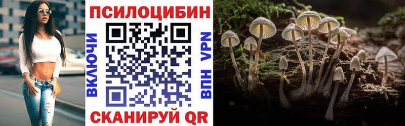 Псилоцибиновые грибы Cubensis  Орск 